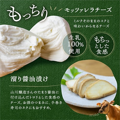 【毎月定期便】飛騨の牛乳屋・牧成舎のよりどり牛乳&ヨーグルト&チーズセット全3回