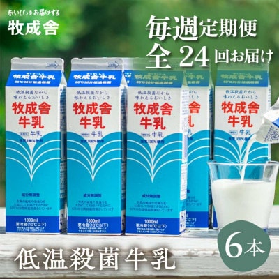 【毎週定期便】飛騨の牛乳屋・牧成舎の低温殺菌牛乳6本セット全24回