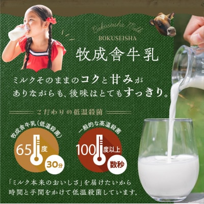 【毎月定期便】飛騨の牛乳屋・牧成舎の飛騨産生乳100%!低温殺菌牛乳3本&のむヨーグルト2本全3回