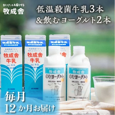 【毎月定期便】牧成舎の飛騨産生乳100%!低温殺菌牛乳3本&のむヨーグルト2本全12回