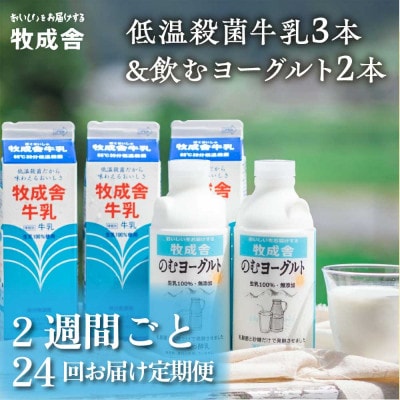 【2週間毎定期便】牧成舎の飛騨産生乳100%!低温殺菌牛乳3本&のむヨーグルト2本全24回