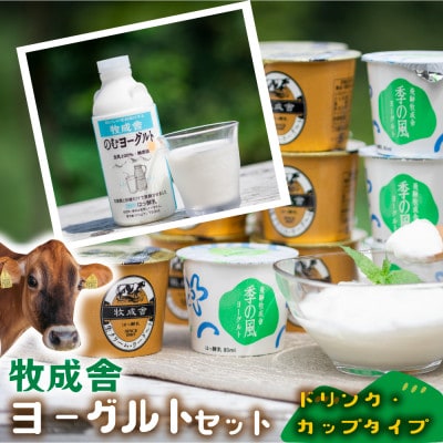 【毎月定期便】牧成舎のヨーグルトよりどりセット全3回