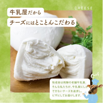 【2ヵ月毎定期便】牧成舎・チーズたっぷりミニピザ2枚全3回