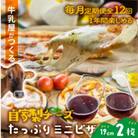 【毎月定期便】＜牧成舎＞自家製チーズたっぷりピザミニ2枚全12回