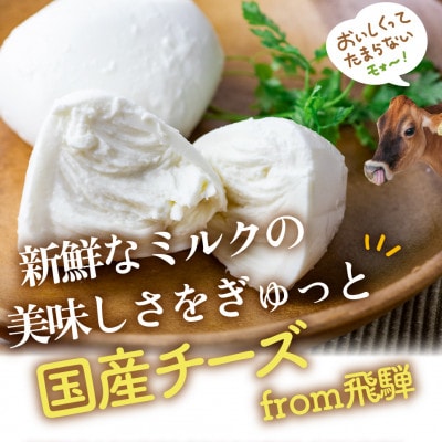 【2ヵ月毎定期便】フレッシュモッツァレラチーズ3個全6回