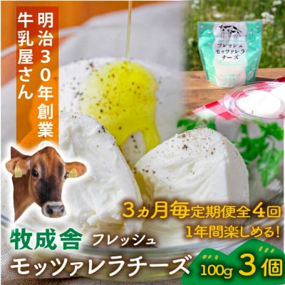 【3ヵ月毎定期便】フレッシュモッツァレラチーズ3個全4回