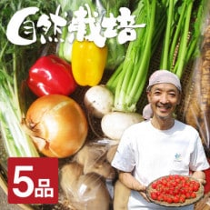 《期間限定》飛騨ありがとうファーム 野菜セット 5品 お野菜のレシピ付き