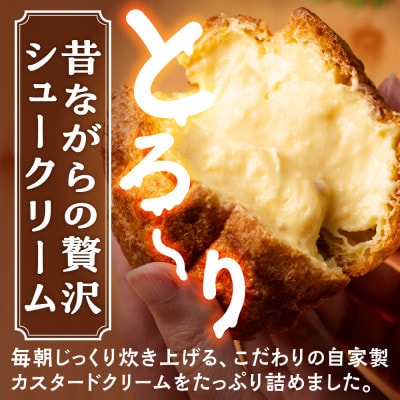 《期間限定》シュークリーム&シューパイ 11個セット デザート スイーツ 洋菓子