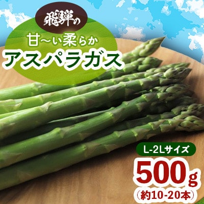 飛騨の甘~い柔らかアスパラガス 500g (L-2Lサイズ 約10-20本)