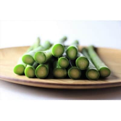 飛騨の甘~い柔らかアスパラガス 500g (L-2Lサイズ 約10-20本)