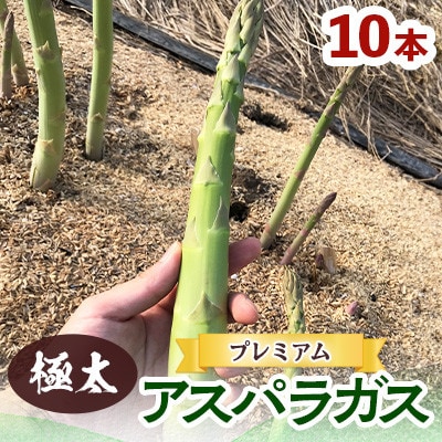 ≪極太≫プレミアム アスパラガス 10本