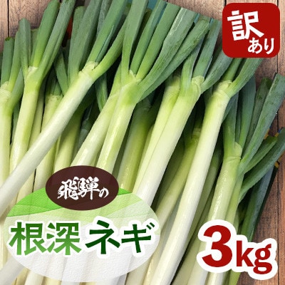 <訳あり>飛騨の根深 ネギ  3kg