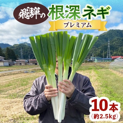 飛騨の根深 ネギ プレミアム 10本 (約2.5kg)