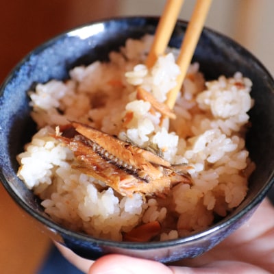 飛騨　川魚のぼっか煮 甘露煮3種セット (鮎・いわな・にじます)