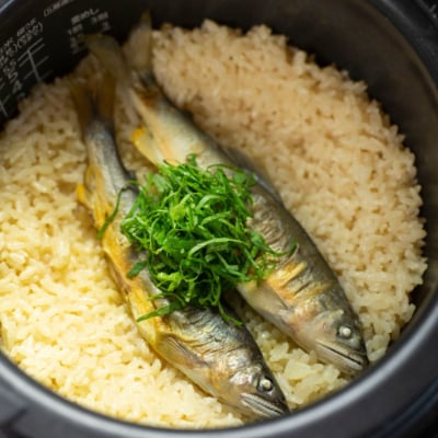 飛騨のあばれ鮎サイズバラバラ3尾(天然鮎)