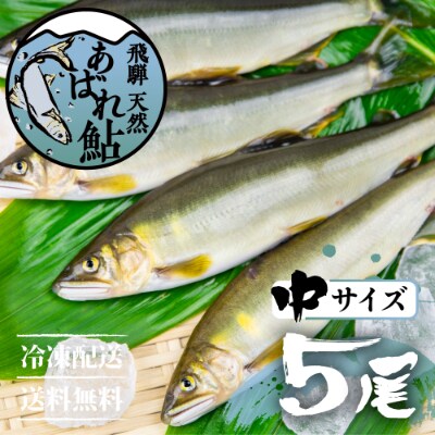 飛騨のあばれ鮎 天然鮎 中サイズ 5尾 宮川下流