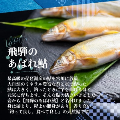 飛騨のあばれ鮎 天然鮎 大サイズ 10尾 宮川下流