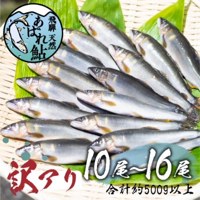 (訳アリ)飛騨のあばれ鮎 サイズばらばら　10~16尾　合計500g以上