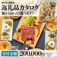 後からゆっくり返礼品を選べる♪ 　飛騨市 ふるさと納税 返礼品 カタログ [cat20]