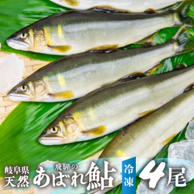 2023年 岐阜県産天然鮎 冷凍 4尾 18-22cm前後  飛騨のあばれ鮎