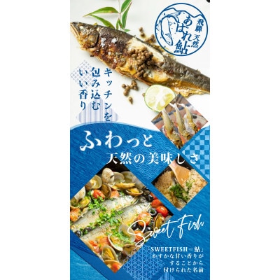2023年 岐阜県産天然鮎 冷凍 4尾 18-22cm前後  飛騨のあばれ鮎