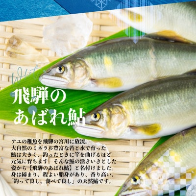 2023年 岐阜県産天然鮎 冷凍 4尾 18-22cm前後  飛騨のあばれ鮎