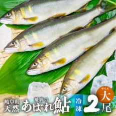 2023年 岐阜県産天然鮎 2尾 冷凍 大サイズ 23cm以上 飛騨のあばれ鮎