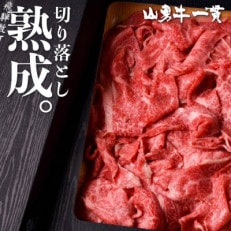 飛騨の牧場で育った『山勇牛』切り落とし 600g 熟成飛騨牛