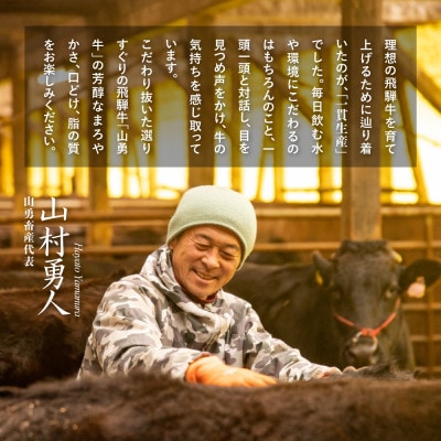 飛騨の牧場で育った『山勇牛』切り落とし 600g 熟成飛騨牛