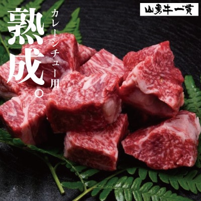 飛騨の牧場で育った『山勇牛』カレーシチュー用 600g  熟成飛騨牛