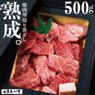 飛騨の牧場で育った『山勇牛』 焼肉 切り落とし 500g 熟成飛騨牛