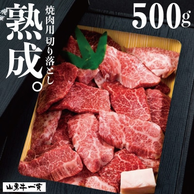 飛騨の牧場で育った『山勇牛』 焼肉 切り落とし 500g 熟成飛騨牛