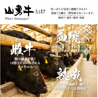 飛騨の牧場で育った『山勇牛』 焼肉 切り落とし 500g 熟成飛騨牛