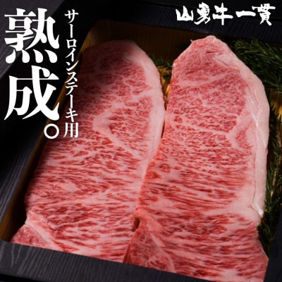飛騨の牧場で育った『山勇牛』 サーロインステーキ用　250g×2  熟成飛騨牛