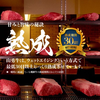 飛騨の牧場で育った『山勇牛』 堪能ステーキセット　サーロイン 200g・赤身 100g×2