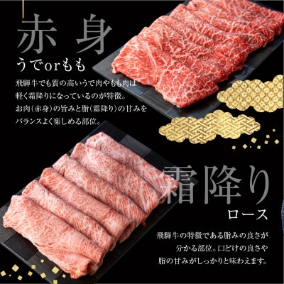 飛騨牛食べ比べ　焼肉用　ロース・うでorもも　計500g　5等級　冷蔵品