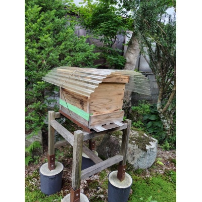 飛騨 日本みつばちの会の蜂蜜 <ひだの百花蜜>  600g 1本