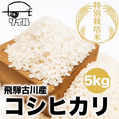 【令和4年産】飛騨古川産 特別栽培米こしひかり 5kg 10月から発送