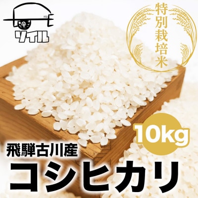 【4年産】飛騨古川産 特別栽培米こしひかり 10kg 10月より発送
