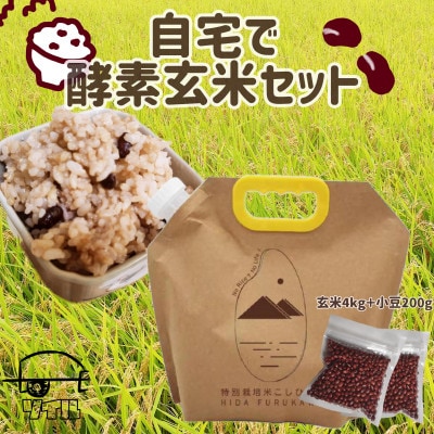 自宅で酵素玄米セット　特別栽培米玄米コシヒカリ4kg+小豆200g