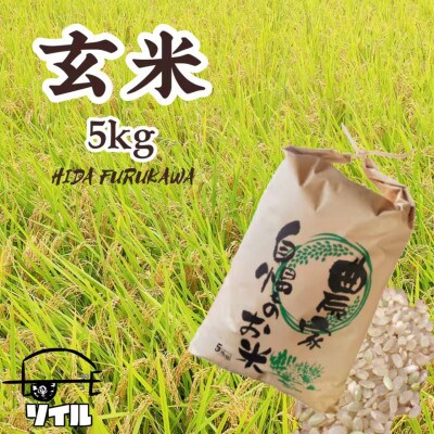 【令和4年産】飛騨古川産 特別栽培米こしひかり玄米 5kg 10月から発送