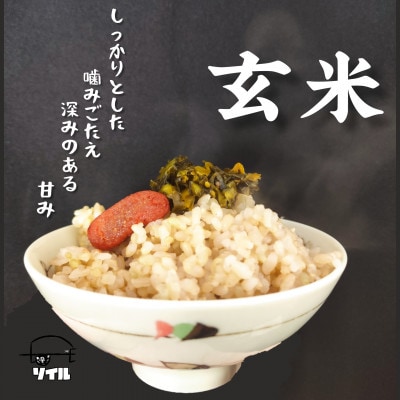 【令和6年産】飛騨古川産　特別栽培米こしひかり　玄米2.5kg