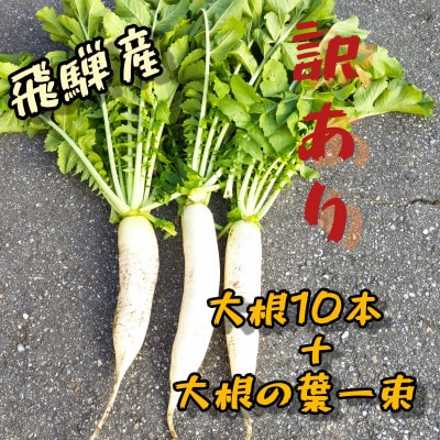 飛騨産【訳あり】不揃い大根10本+栄養たっぷり大根の葉　
