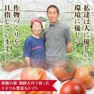 佐藤さんちの美味しい飛騨トマト　約4Kg