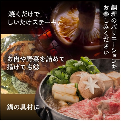 ジャンボ菌床しいたけ　2パック入り