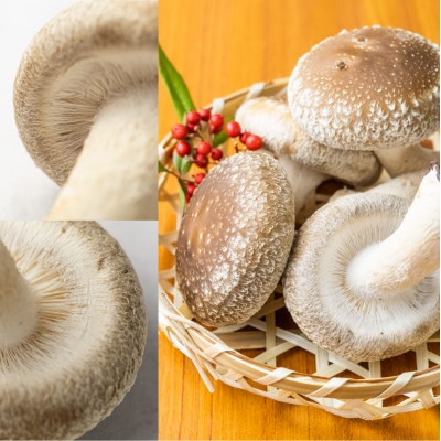 菌床しいたけ　約100g*10p入り