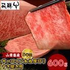 一貫生産農家　山勇畜産の5等級飛騨牛限定　サーロイン本格厚切りすき焼き・鉄板焼き用　600g
