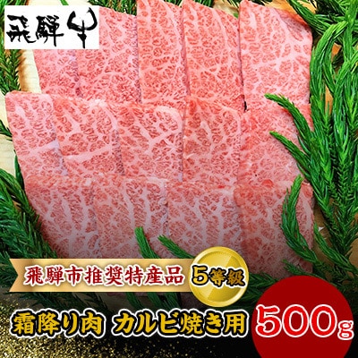 飛騨市推奨特産品　飛騨牛5等級限定　霜降り肉　カルビ焼き用　500g