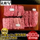 飛騨牛5等級モモ肉レア部位　ランプ、イチボ、心芯の3種焼き肉用食べ比べ　各100g　計300g