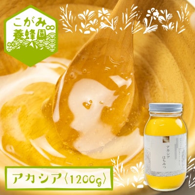アカシア蜜 1200g[Q1200]